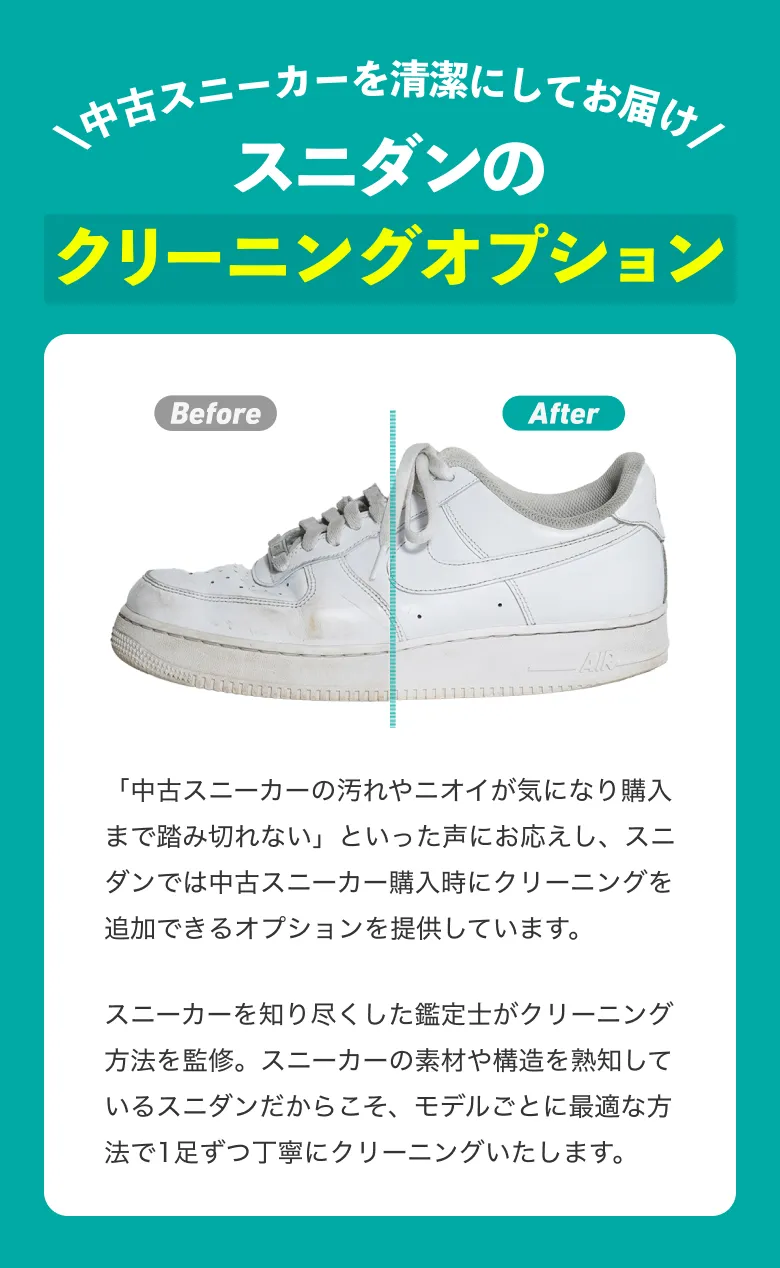 クリーニングオプションが登場